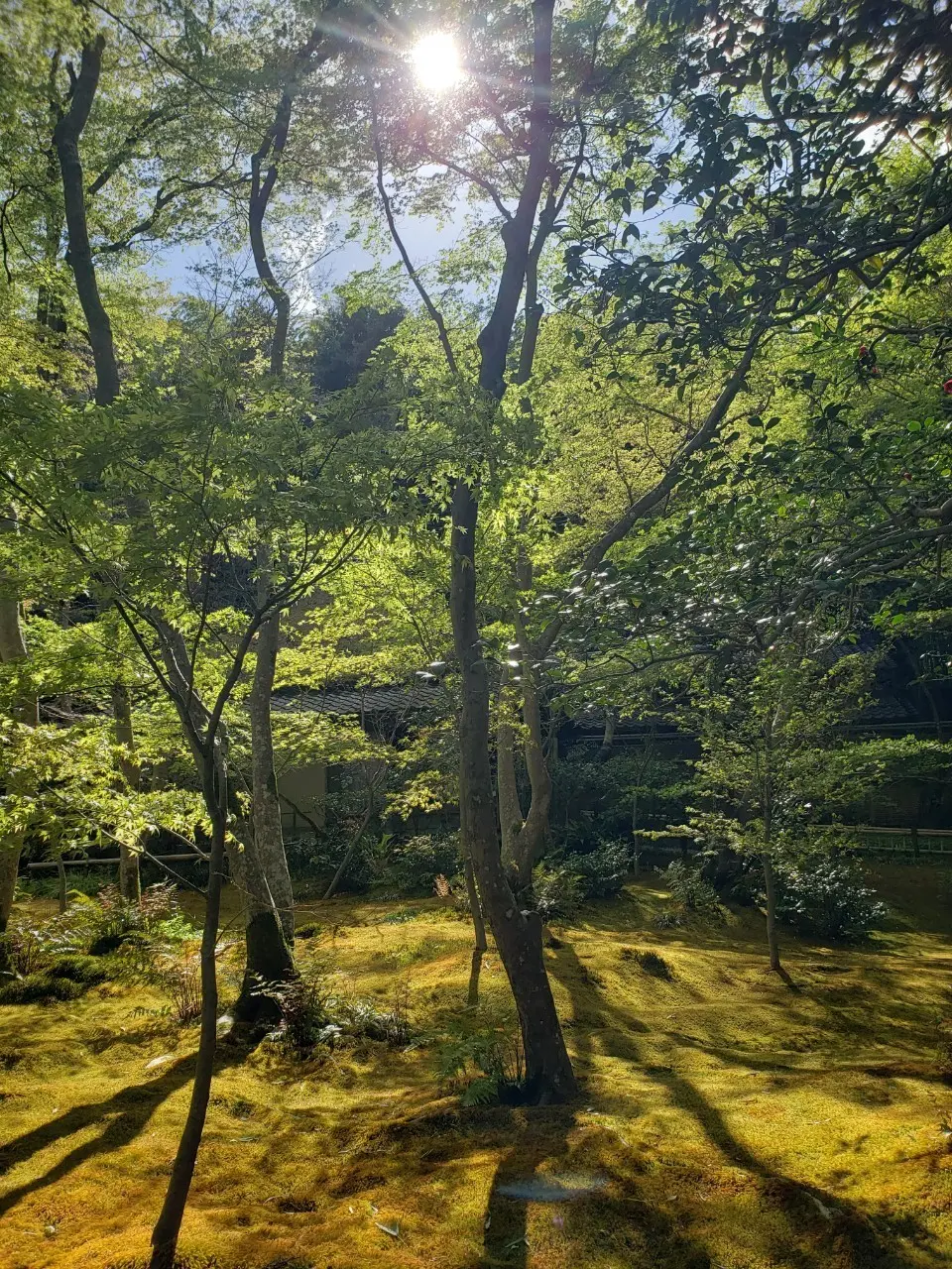 1枚で決まる華やかプリントワンピースと初の画像_5