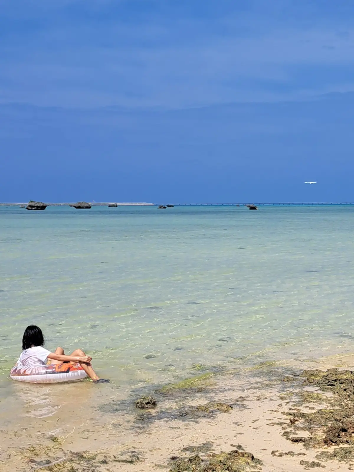 3度目の伊良部島の夏の画像_11