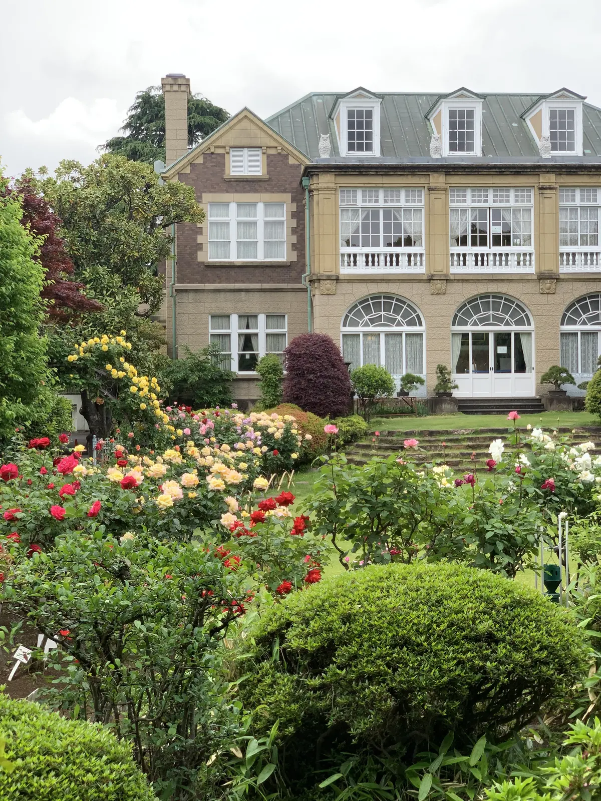 鳩山会館　薔薇園
