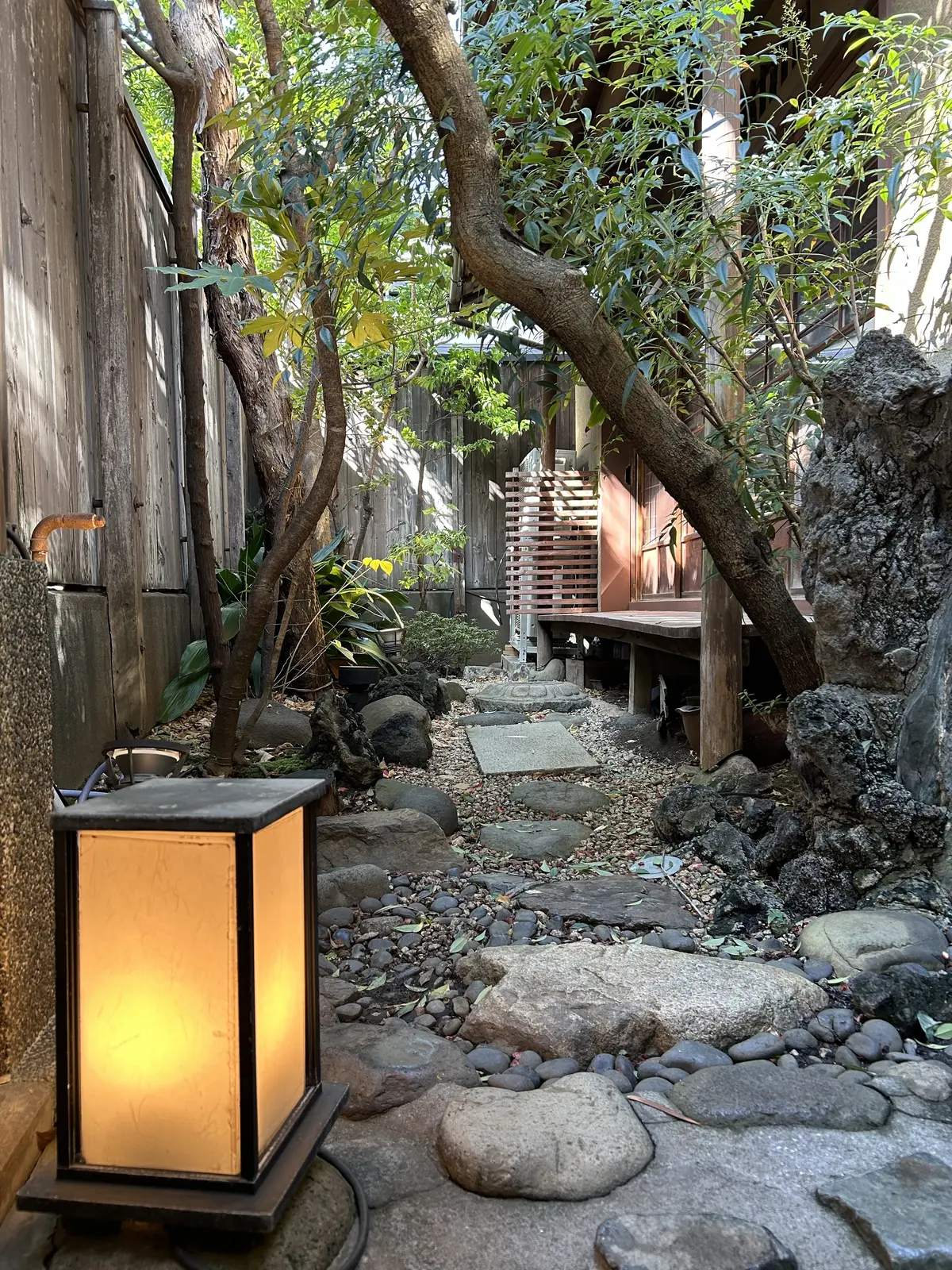 Jマダムで神楽坂フレンチランチ🎵の画像_4