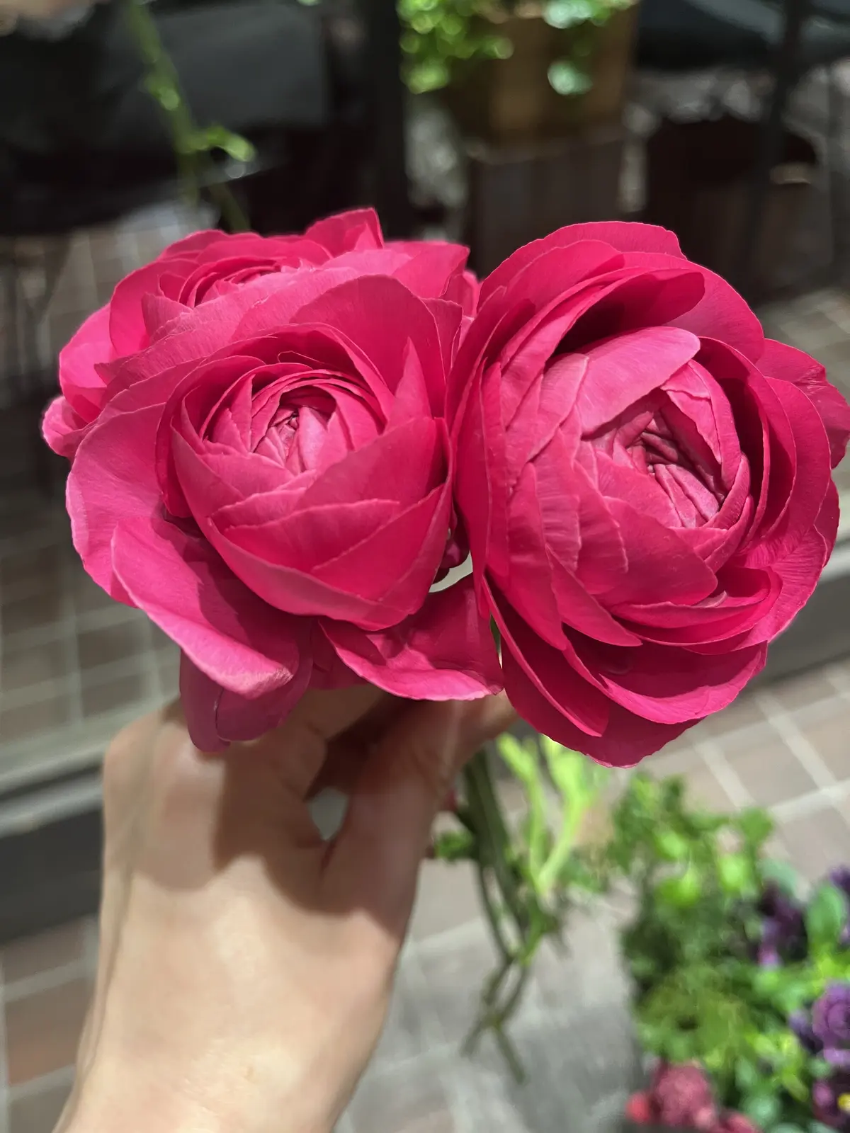 ピクニック気分でアフタヌーンティーの画像_4