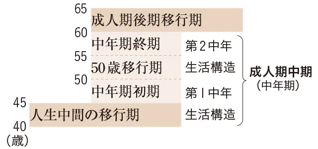 男性成人期ライフサイクルより一部抜粋