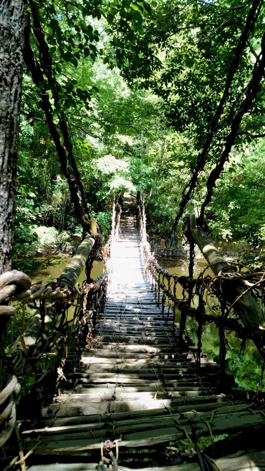 ゆったりのんびり　夏休みを過ごすの画像_2