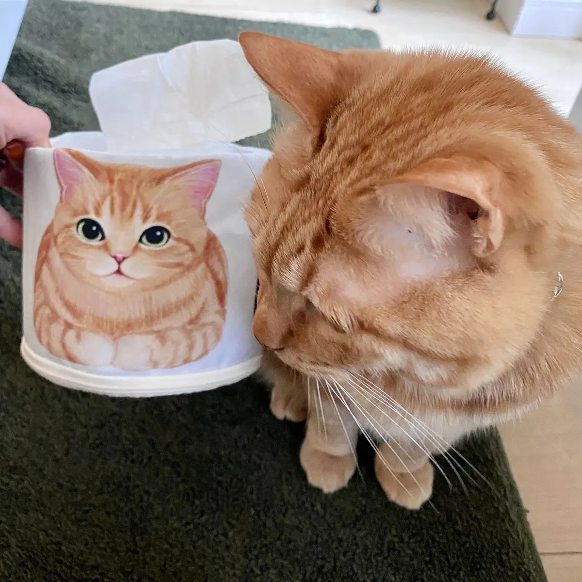 スーパー猫の日！イベント開催中！の画像_6