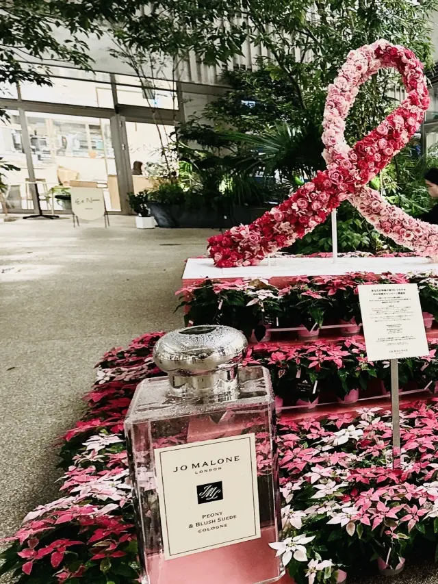 代官山でのランチは居心地の良さとこだわりの画像_2