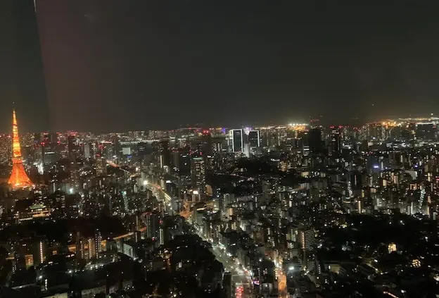 イルミネーションをもっと上から・・・。の画像_3