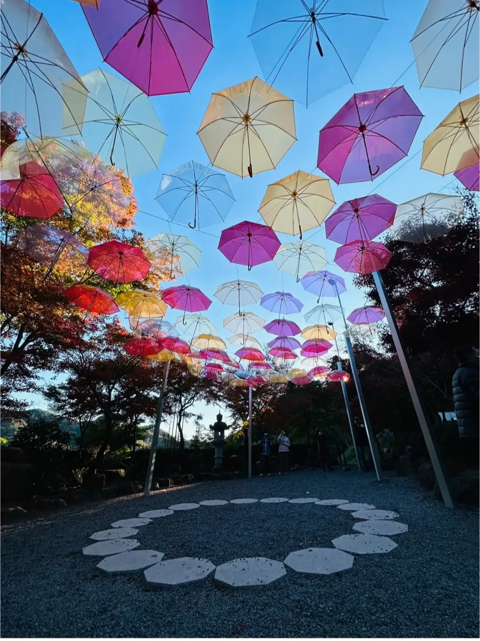 開運アンブレラスカイ　傘　開運