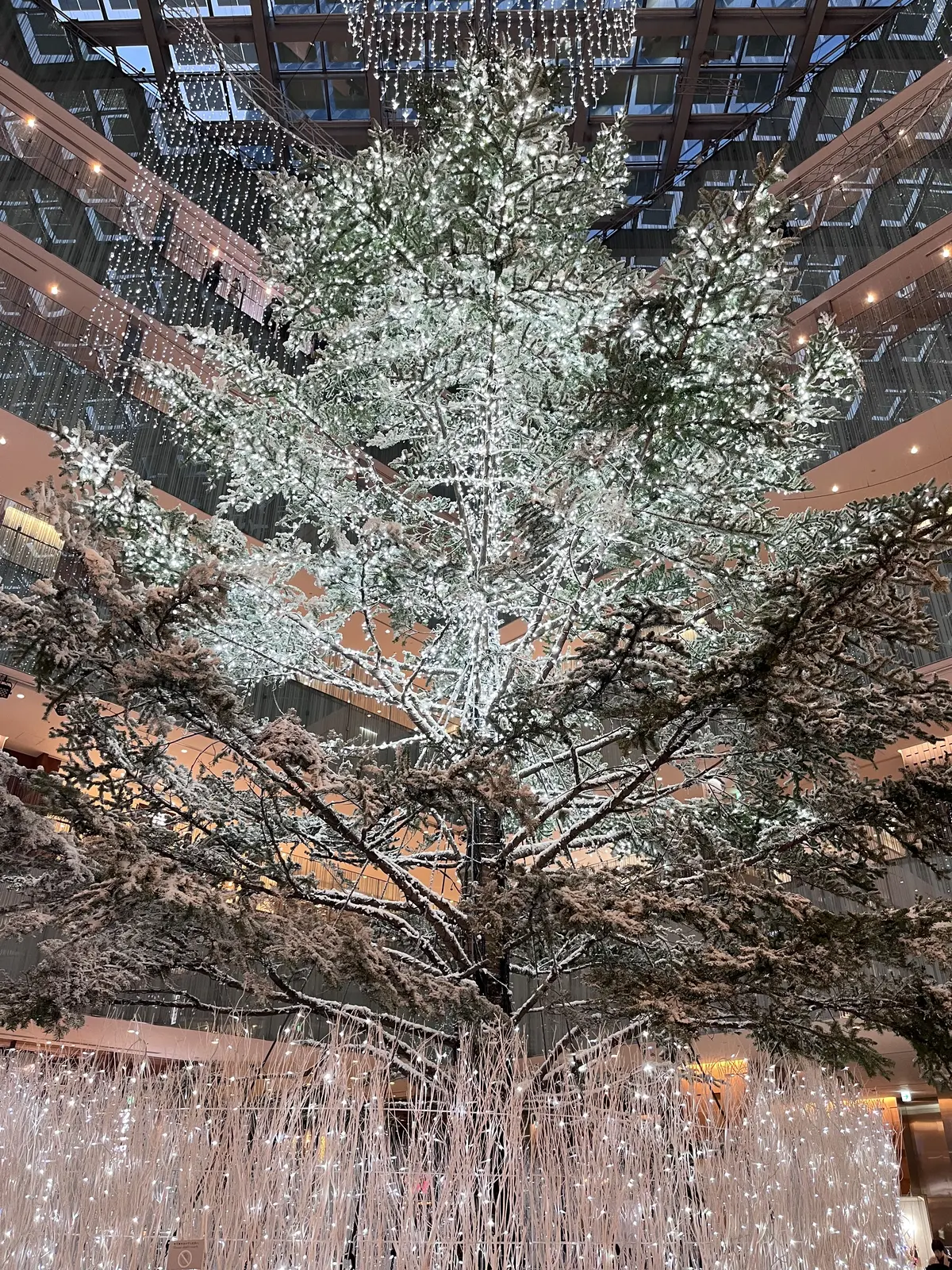 お花好きメンバーでキラキラ観賞♪日比谷〜の画像_17