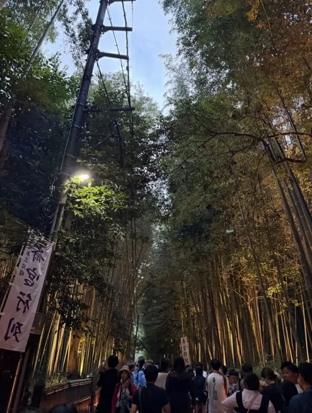 京都「嵐山月灯路」の幻想的な世界への画像_4