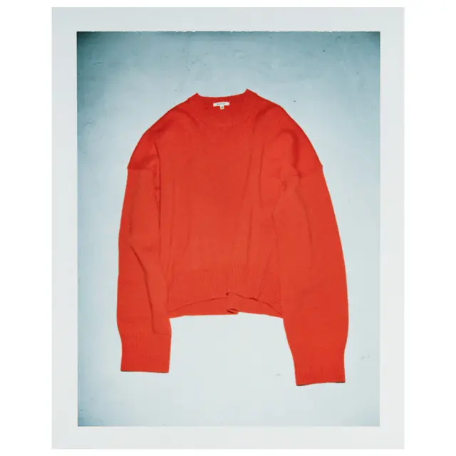 ブラミンクのきれい色ニット