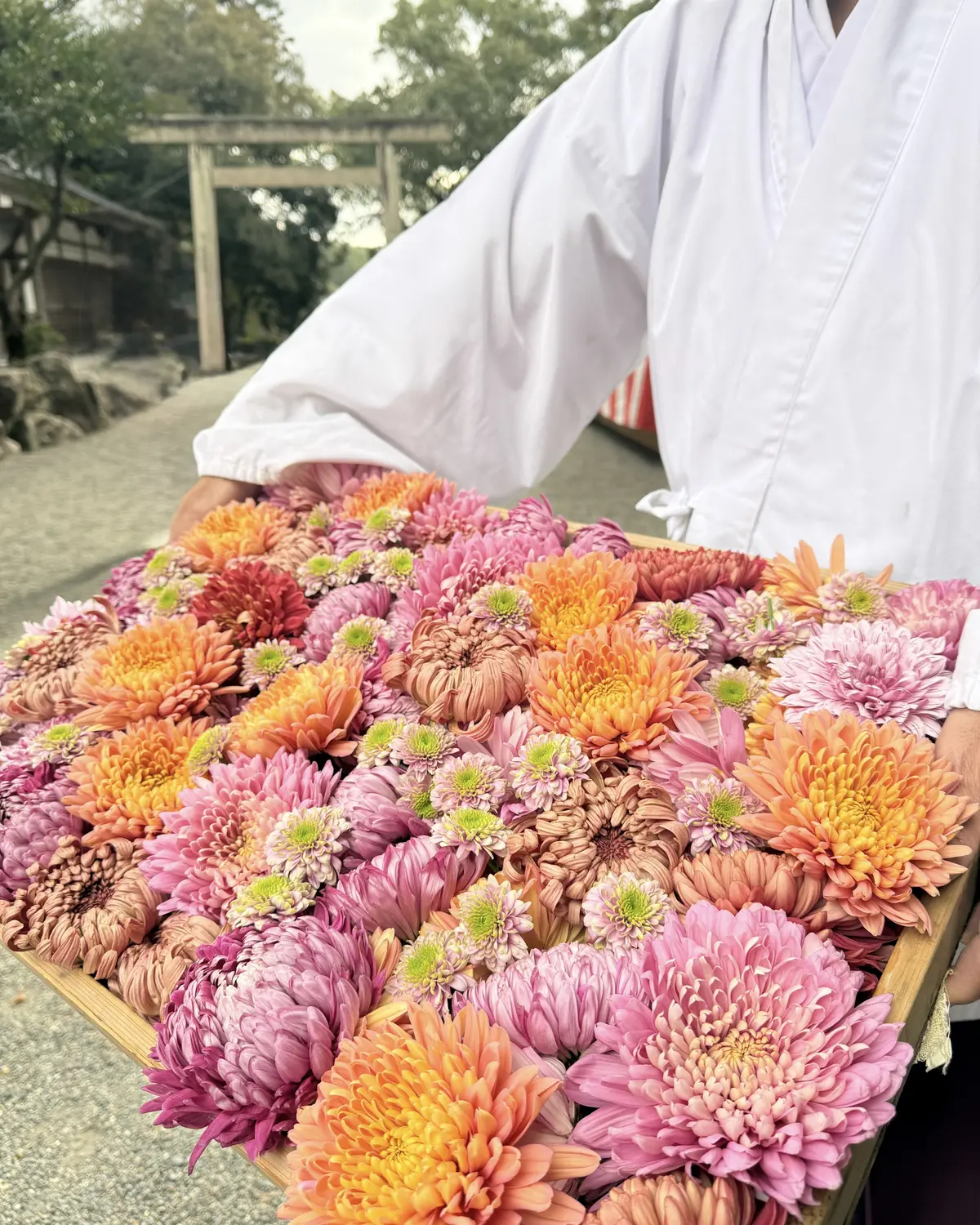 【三重県】多度大社『花手水イベント』の画像_1