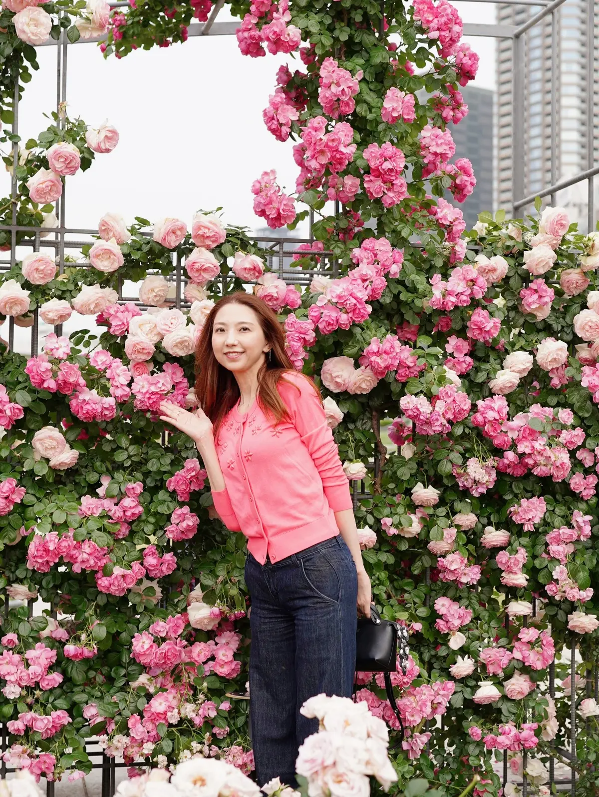 舞台前の気分転換、中之島バラ園へ🌹の画像_6