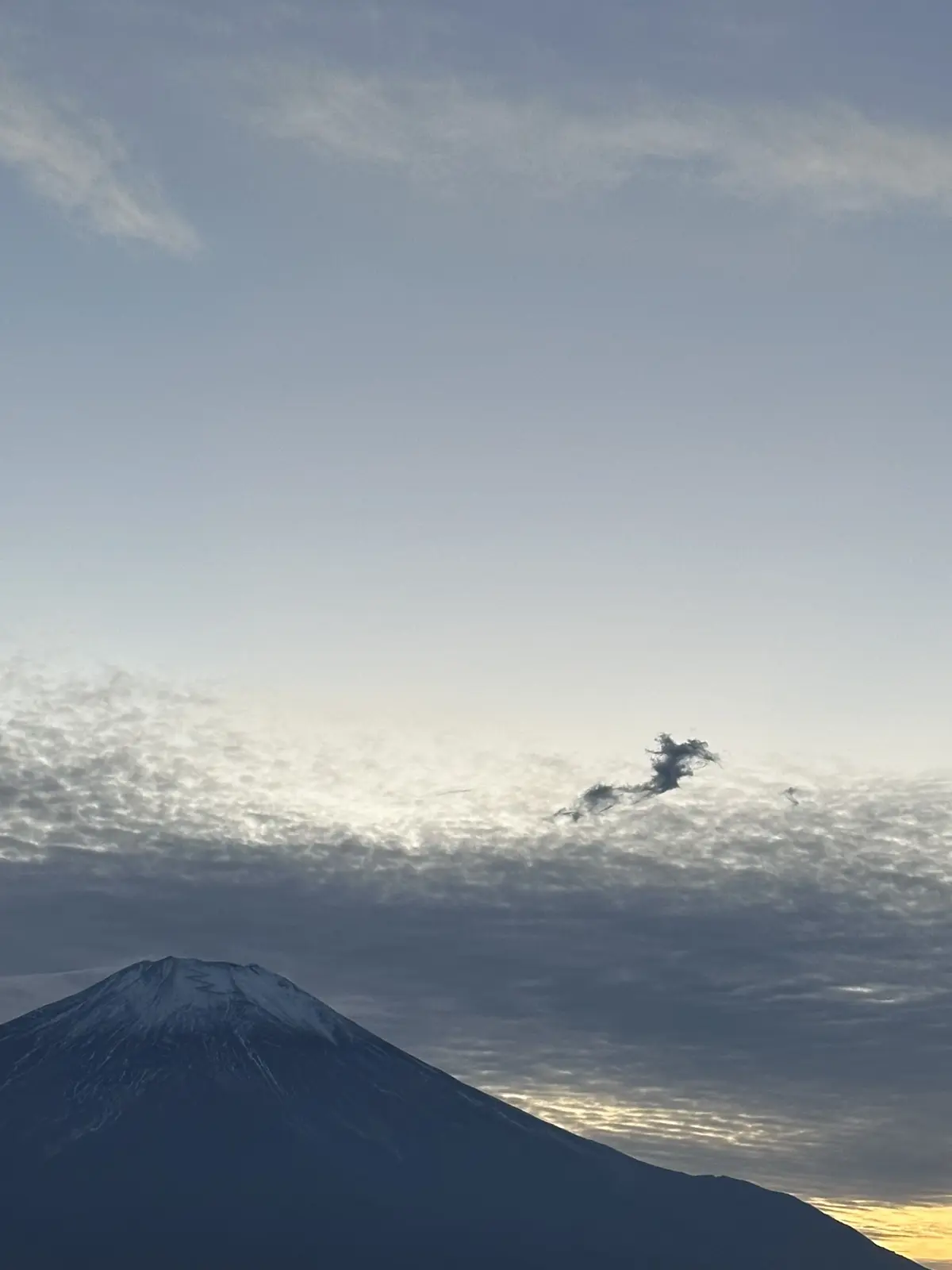 会員制人間ドッグ　グランドハイメディックの画像_12