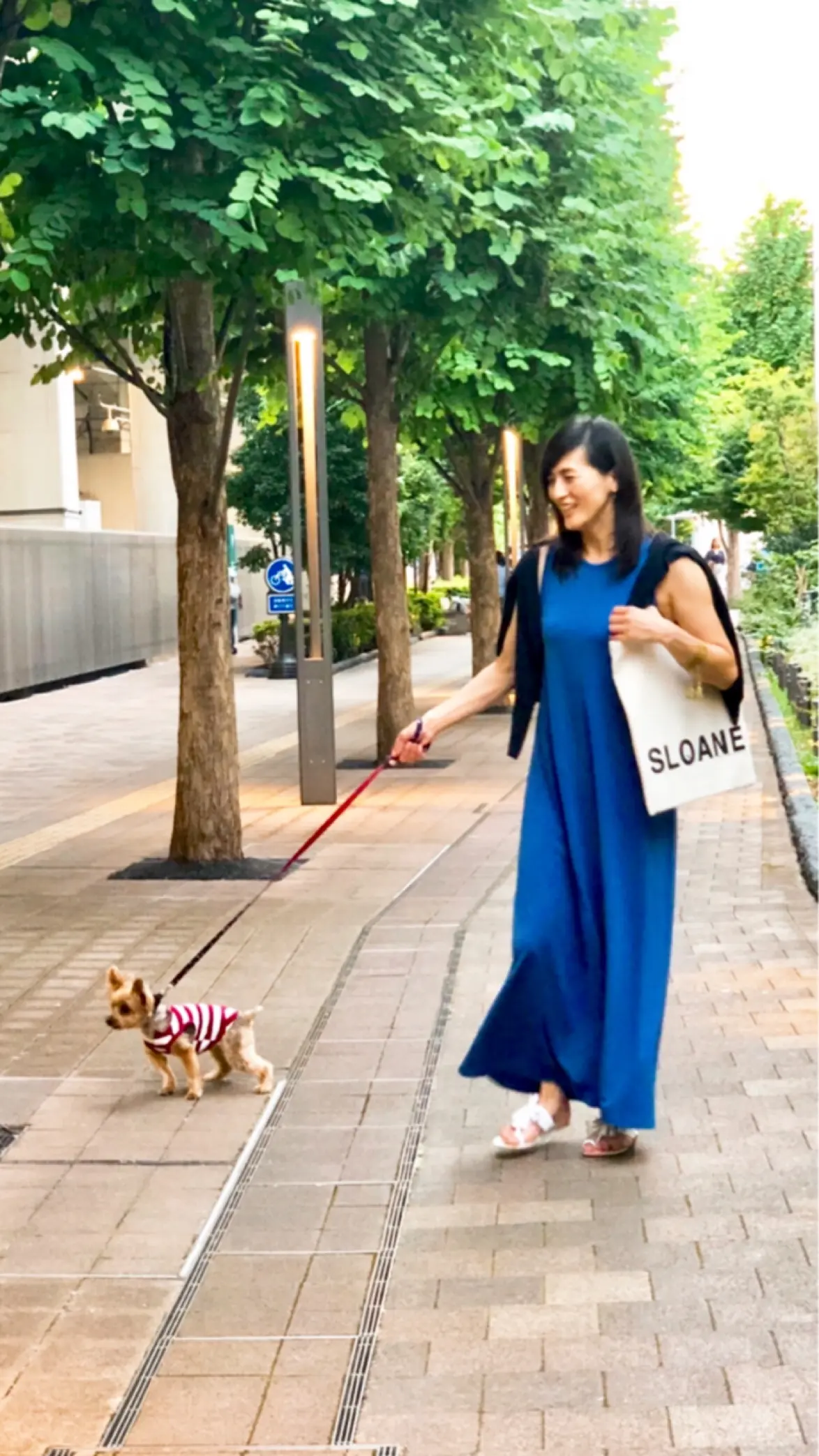 SLOANEのBLTバッグの画像_1