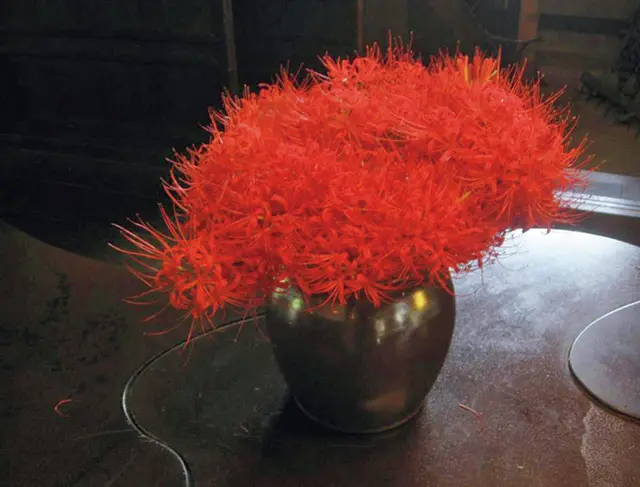 【神在月の出雲旅】懐かしさと新しさが融合の画像_3