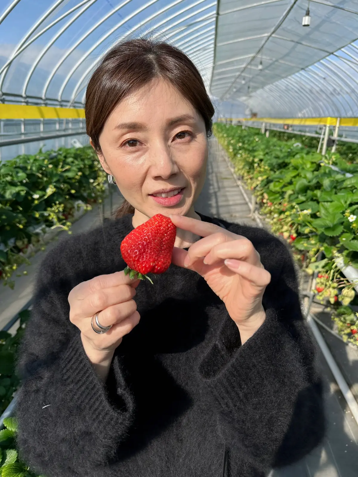 はじめてのいちご狩りは大興奮！の画像_4