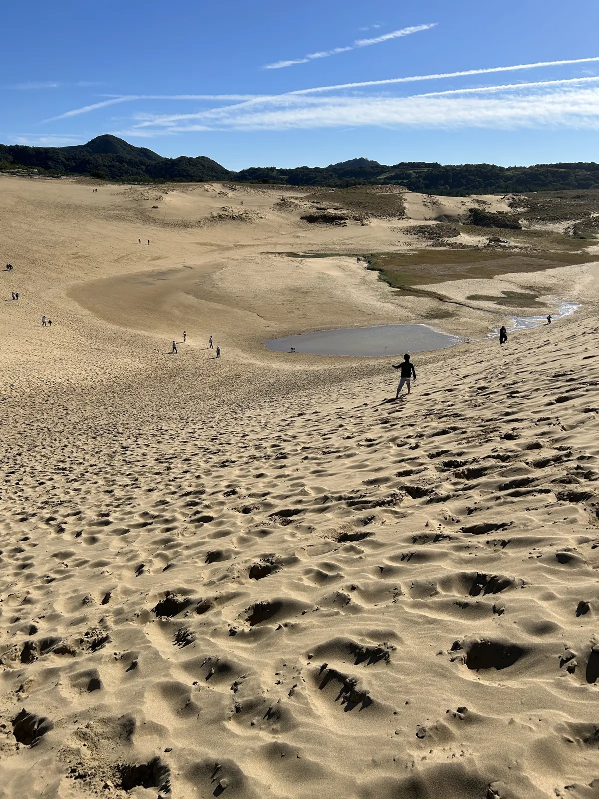 秋の遠足 -11月の鳥取でリフレッシュの画像_4