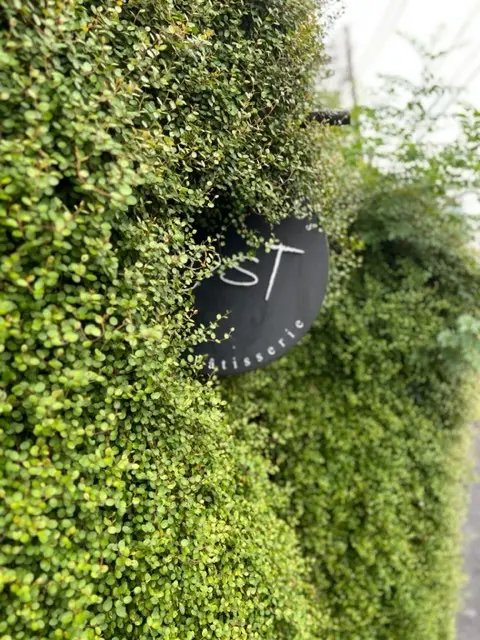 〜大人のランチめぐり〜 自由が丘編の画像_1