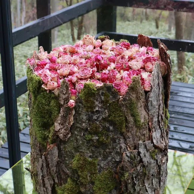 Valley View  Pavilion