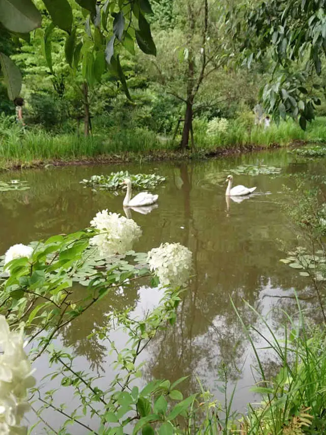 ブラックコーデで色を楽しむお出掛けの画像_8