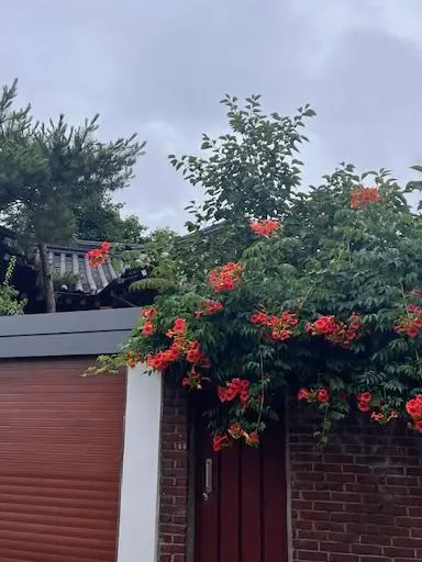 韓国旅行　観光とお買い物の２日目の画像_9