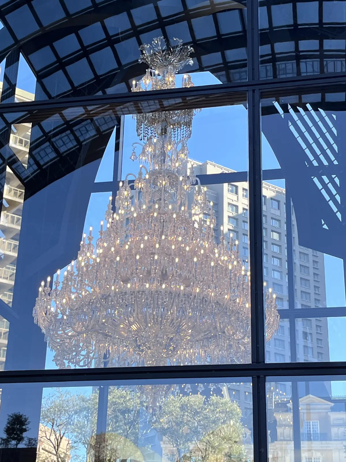 恵比寿でキラキラツリー観賞・夜はLiveの画像_1