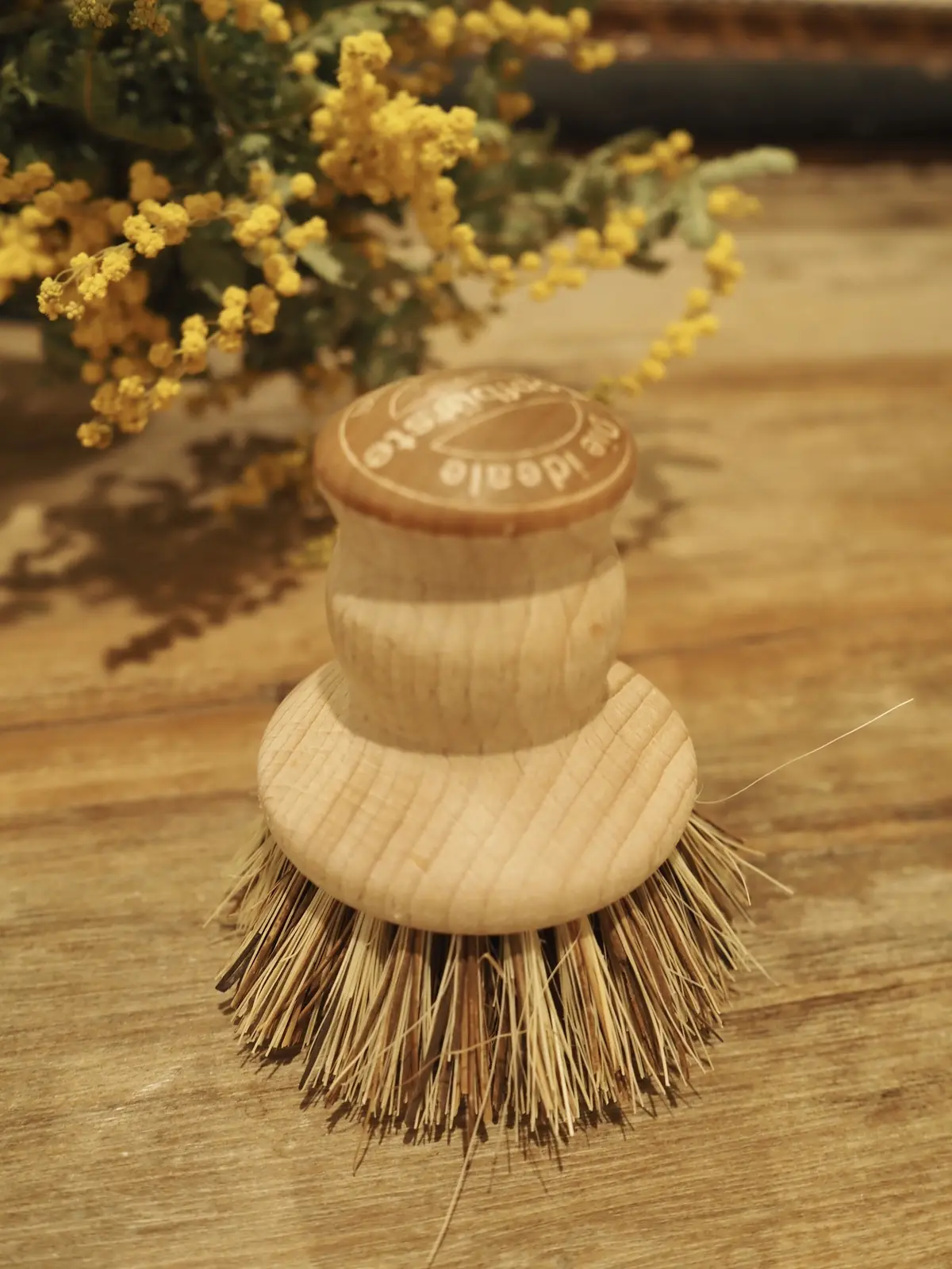 スプリング・クリーニングで春を迎えよう！の画像_4