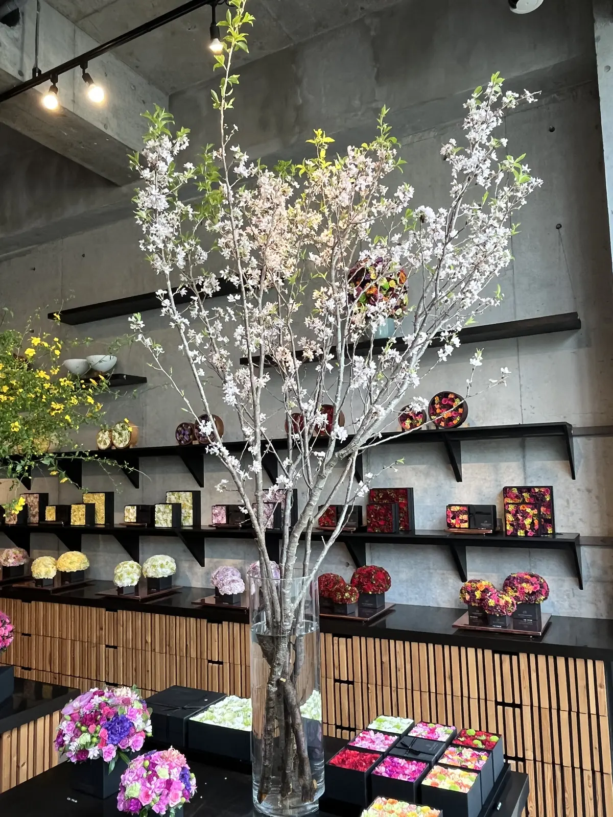 早起きをして朝活への画像_12