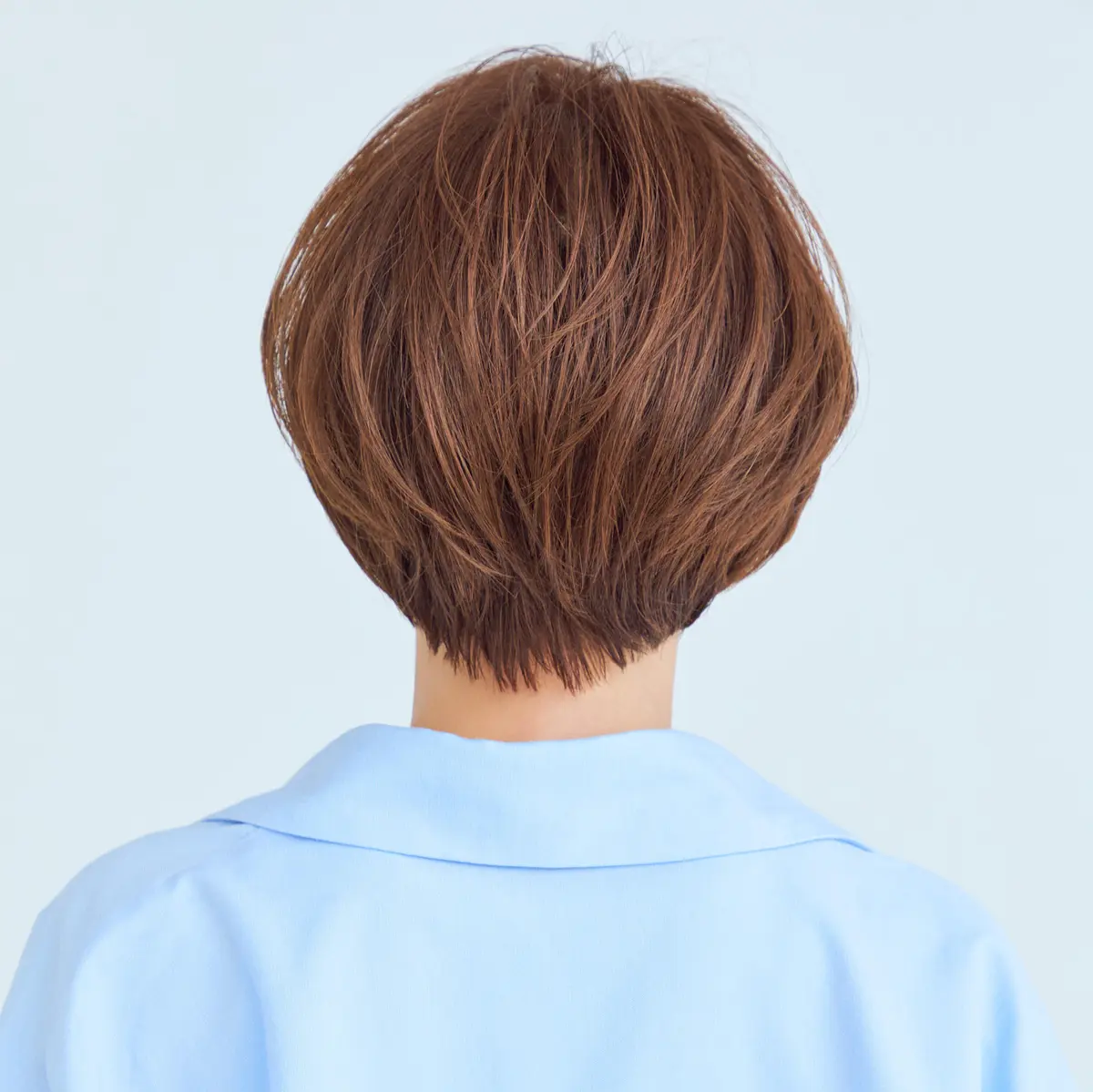 後から見たショートヘアスタイル