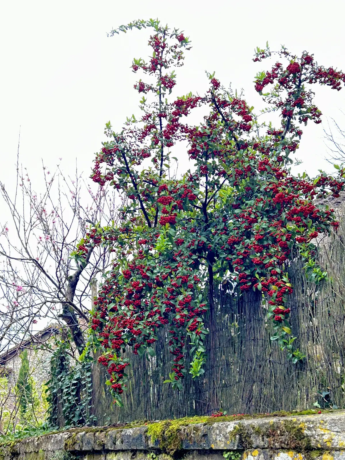 フランスの最も美しい村　　Pérouges (ペルージュ) 