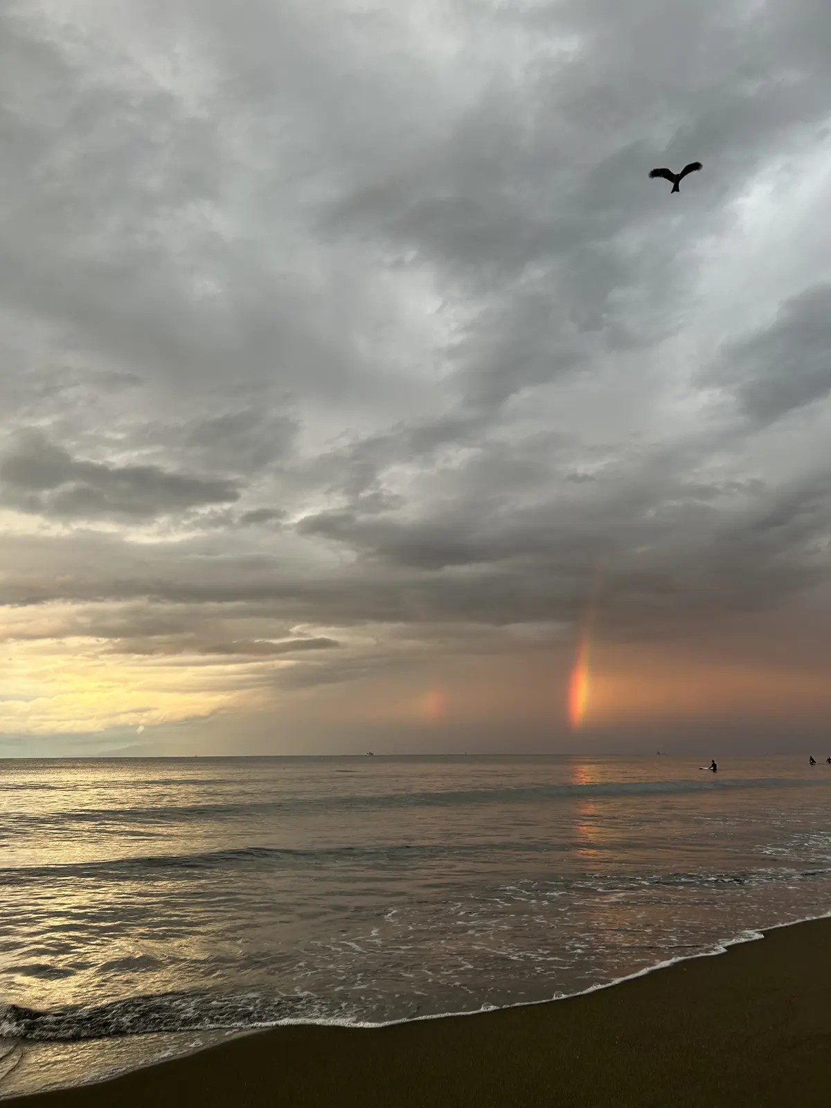 2024朝活アップデート♪の画像_7