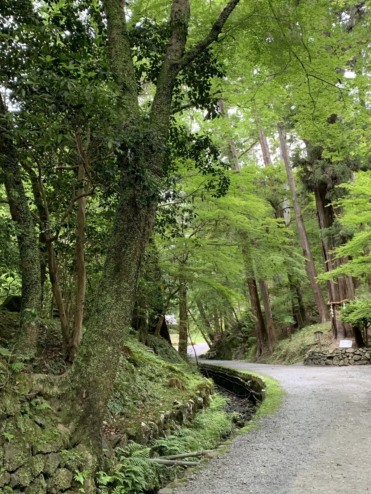 緩やかな道で本堂へ