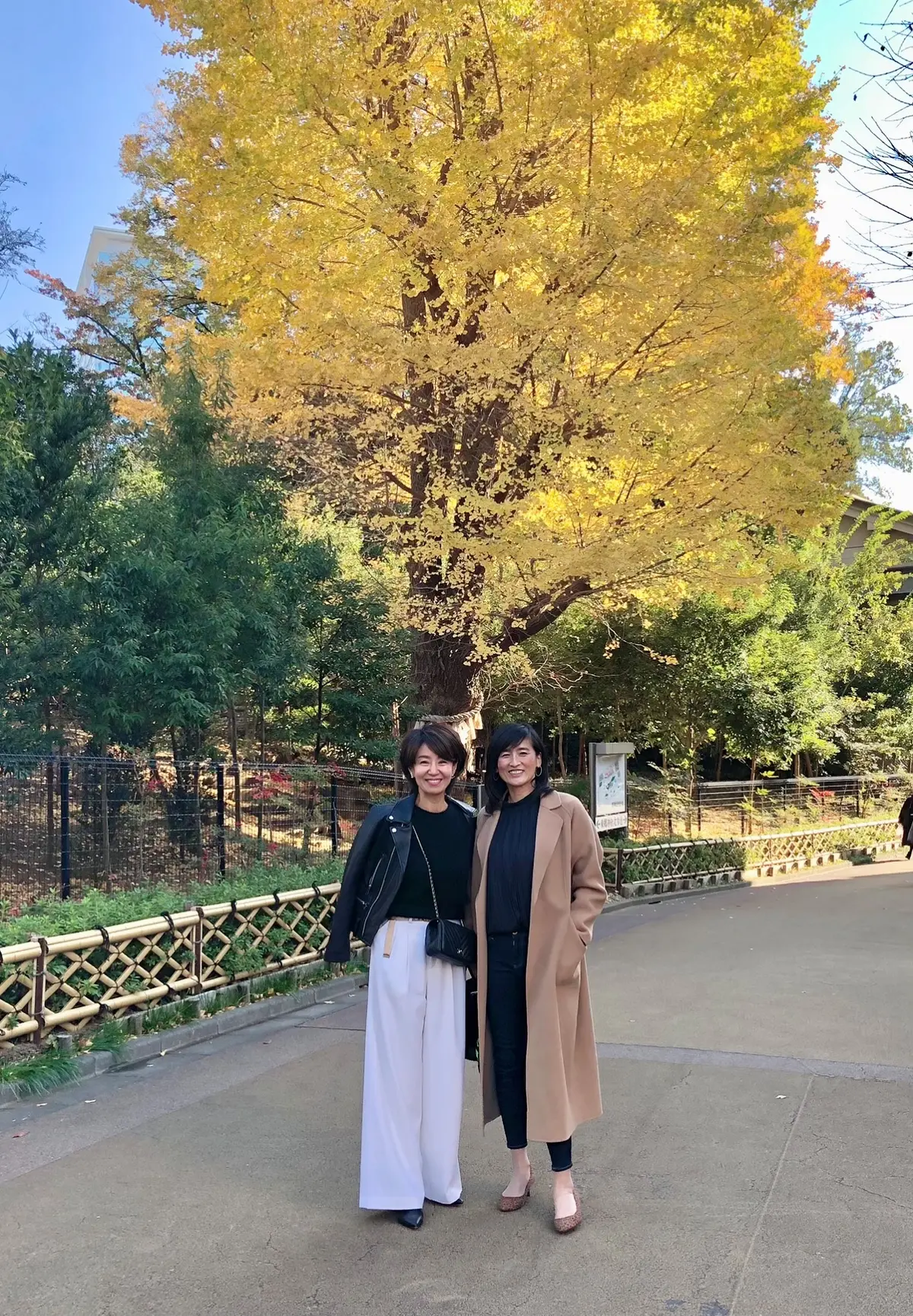 ボリュームスリーブブラウスを着てポーセラの画像_1