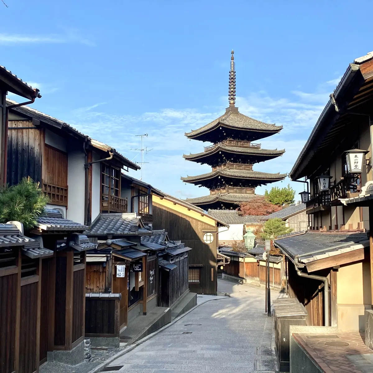 秋の景色を楽しむ♡京都の紅葉②の画像_15