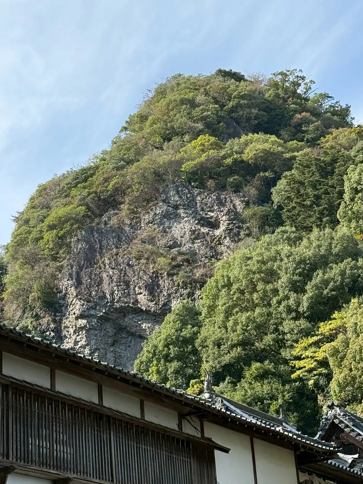 秋を感じる生駒山で山登りの画像_9