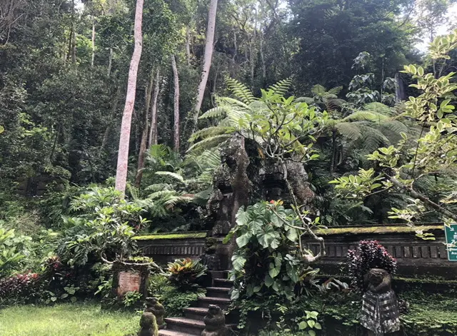 ホーリープール入口