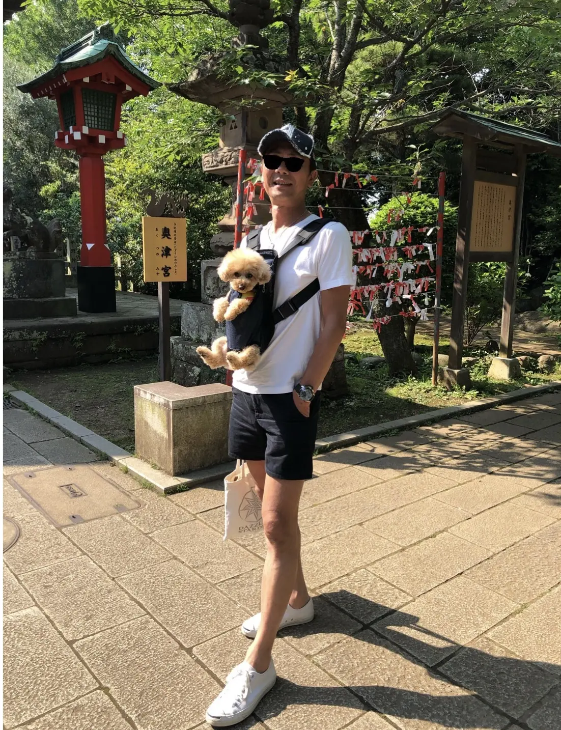 アレンジTで愛犬を連れて江ノ島デート♪の画像_4