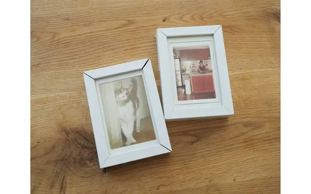 先住猫のびちゃんは、人間の言葉が理解できる賢い子だったのだそう。長い年月をともに過ごした猫との思い出もたくさんある