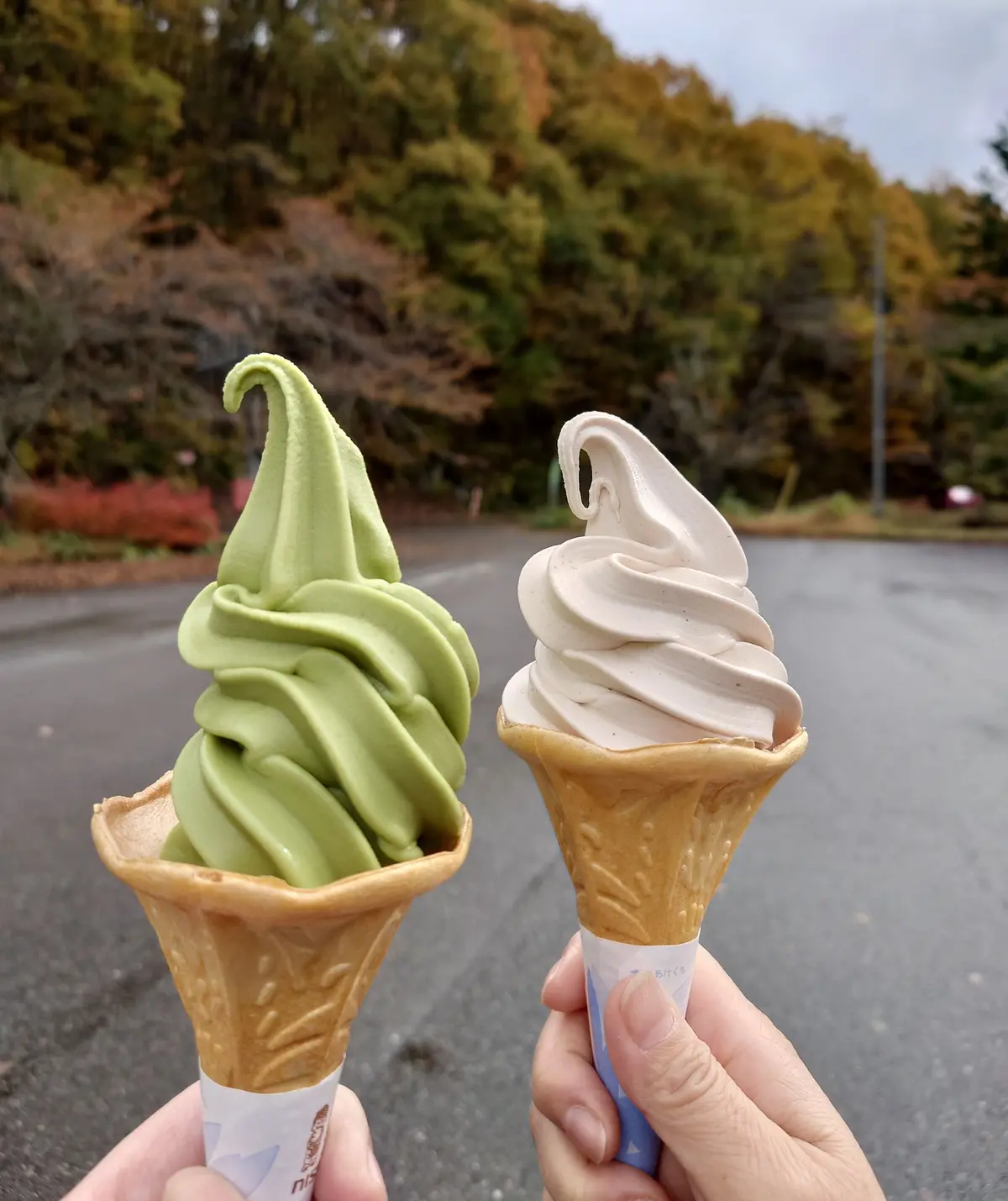 潟分校の帰り、むらっこ物産館のソフトクリーム(ほうれん草と栗の渋皮煮)