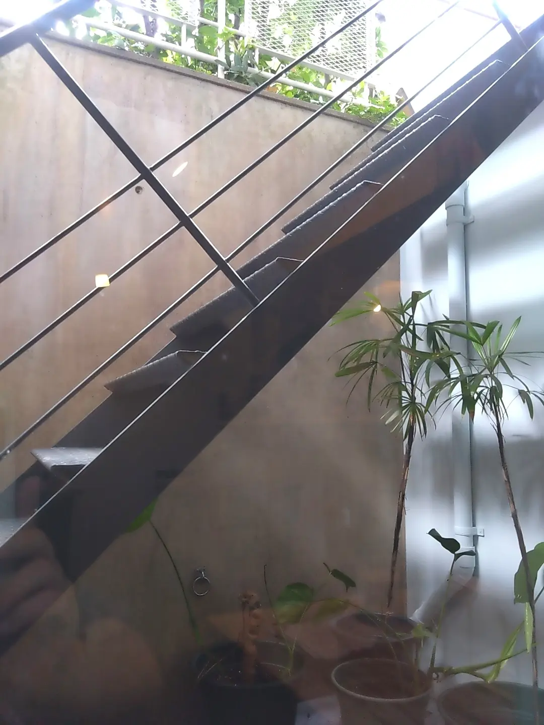 代々木上原、カタネベーカリー、カタネカフェ、モーニング