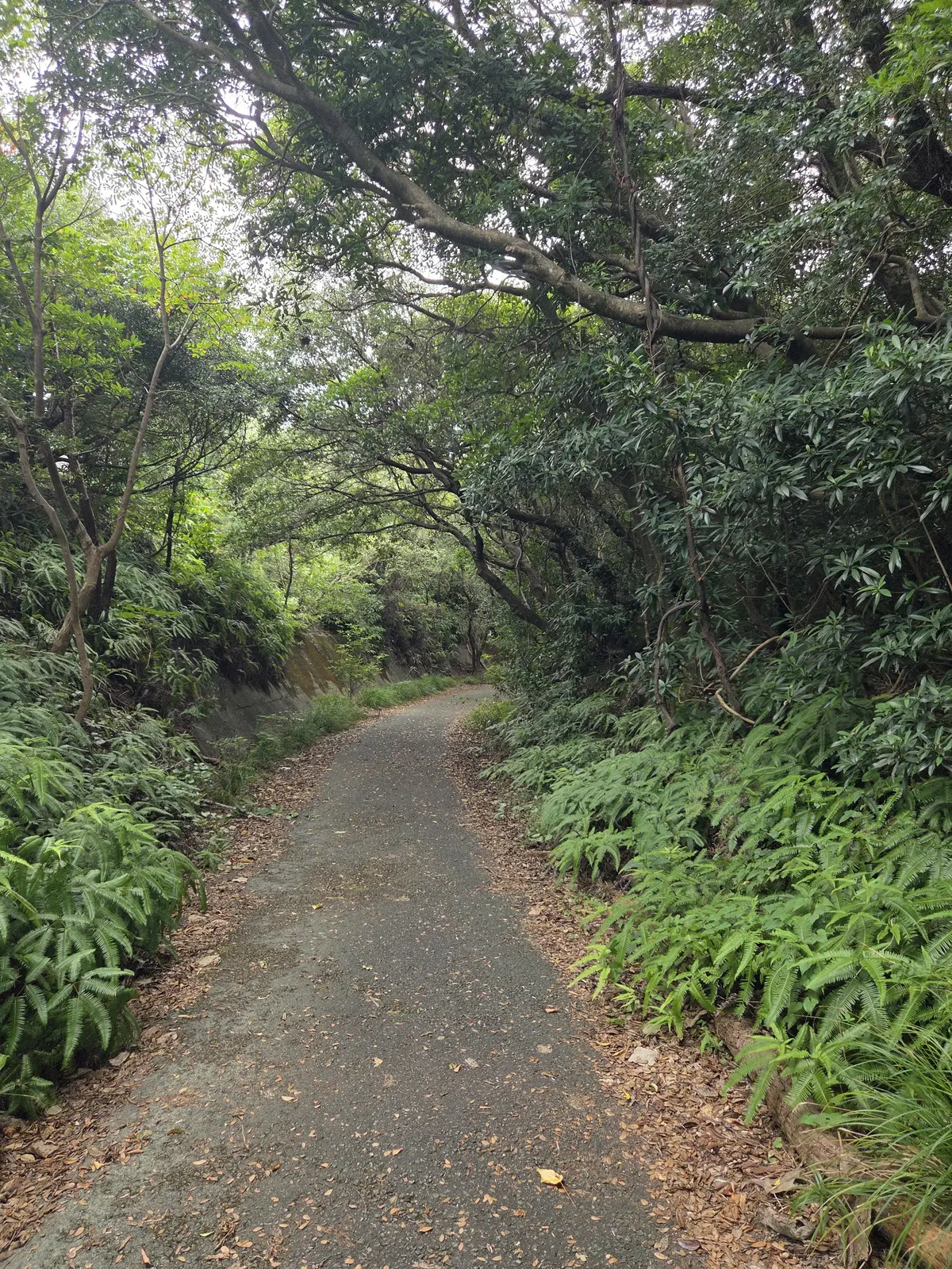 和歌山2泊3日　熊野古道にふれる世界遺産の画像_1