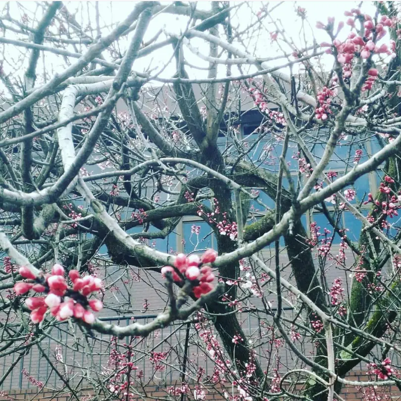 春の金沢旅♪～石川帰省録～の画像_1