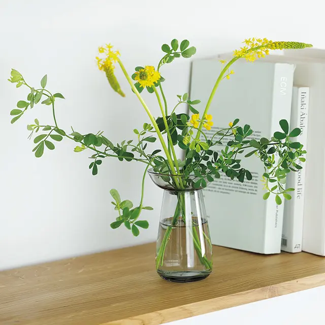 花穂がしだれるバルビネラと、茎がうねるコロニラ バレンティナ