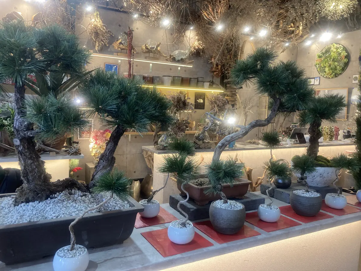 プチ・クリスマス気分を味わいに出かけましの画像_10