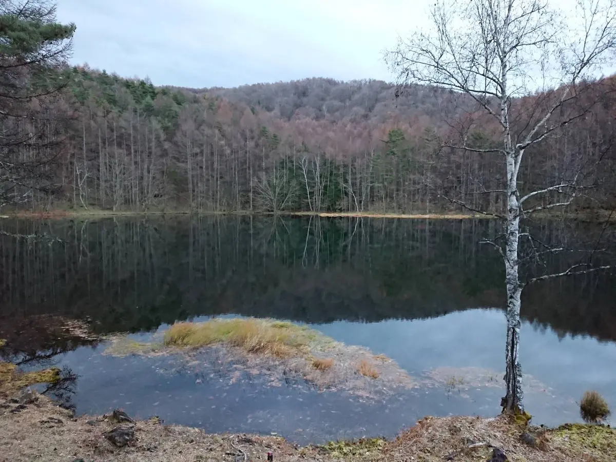テレビCMにもなった鏡の池 御射鹿池
