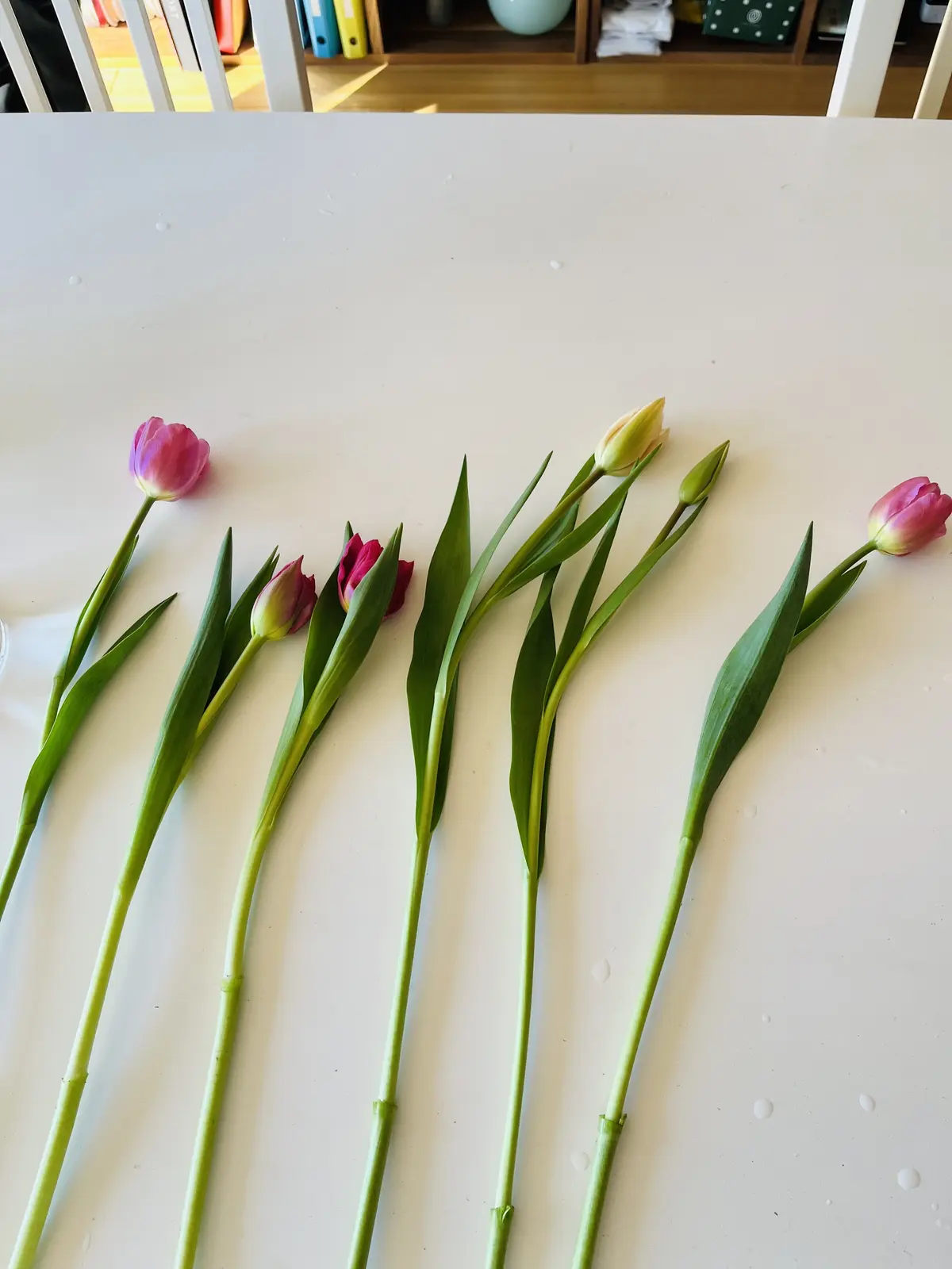 2024初束ねの画像_2