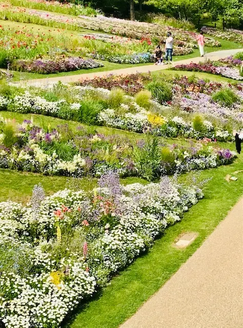 ＊里山ガーデンフェスタ＊Garden Nの画像_3