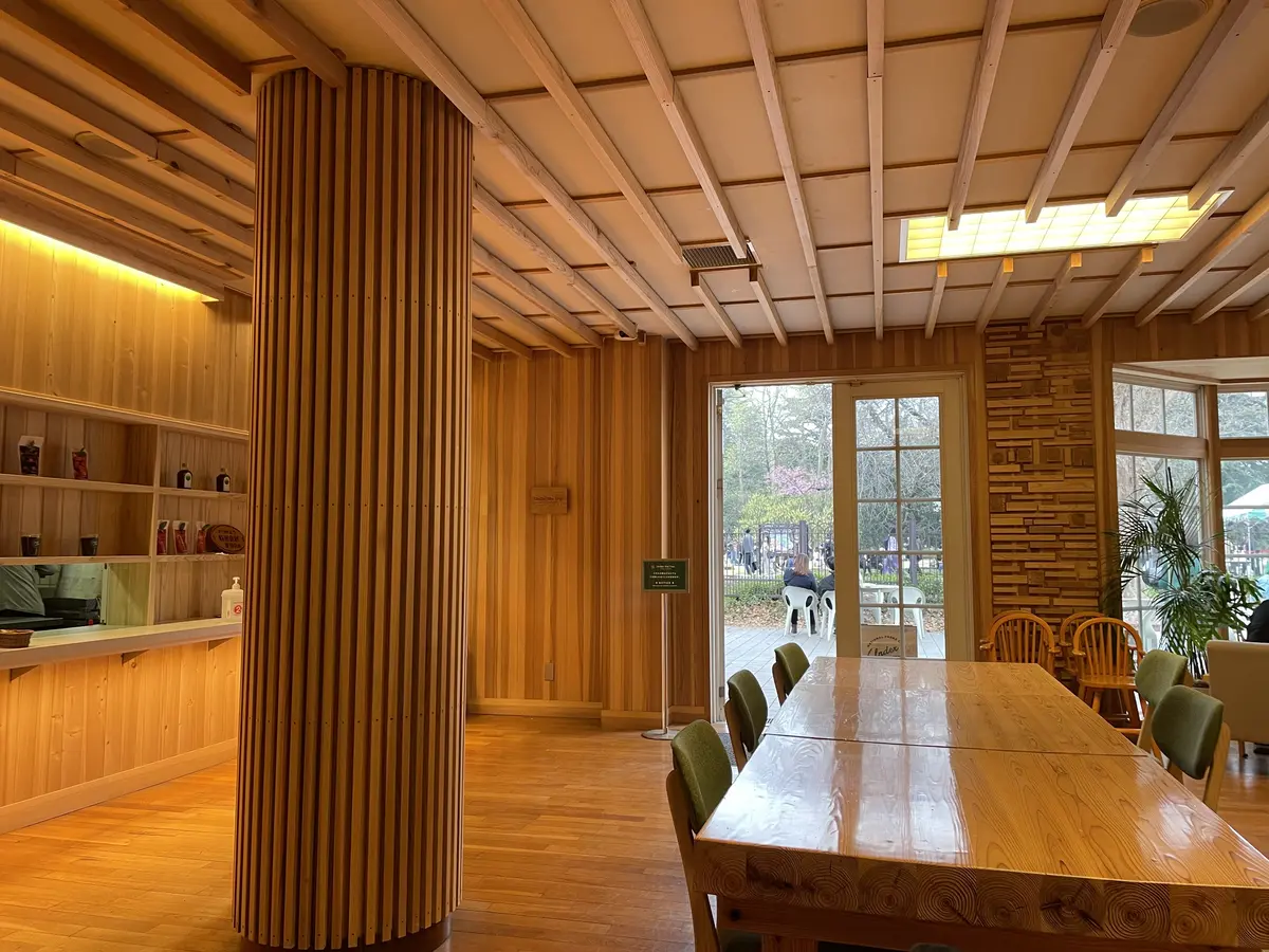 新宿御苑でお花見の画像_5