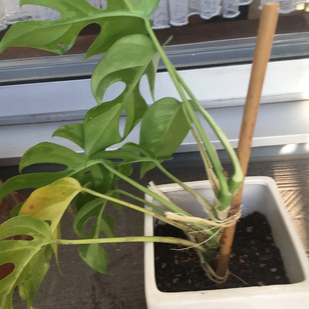 最終的にこんな感じ