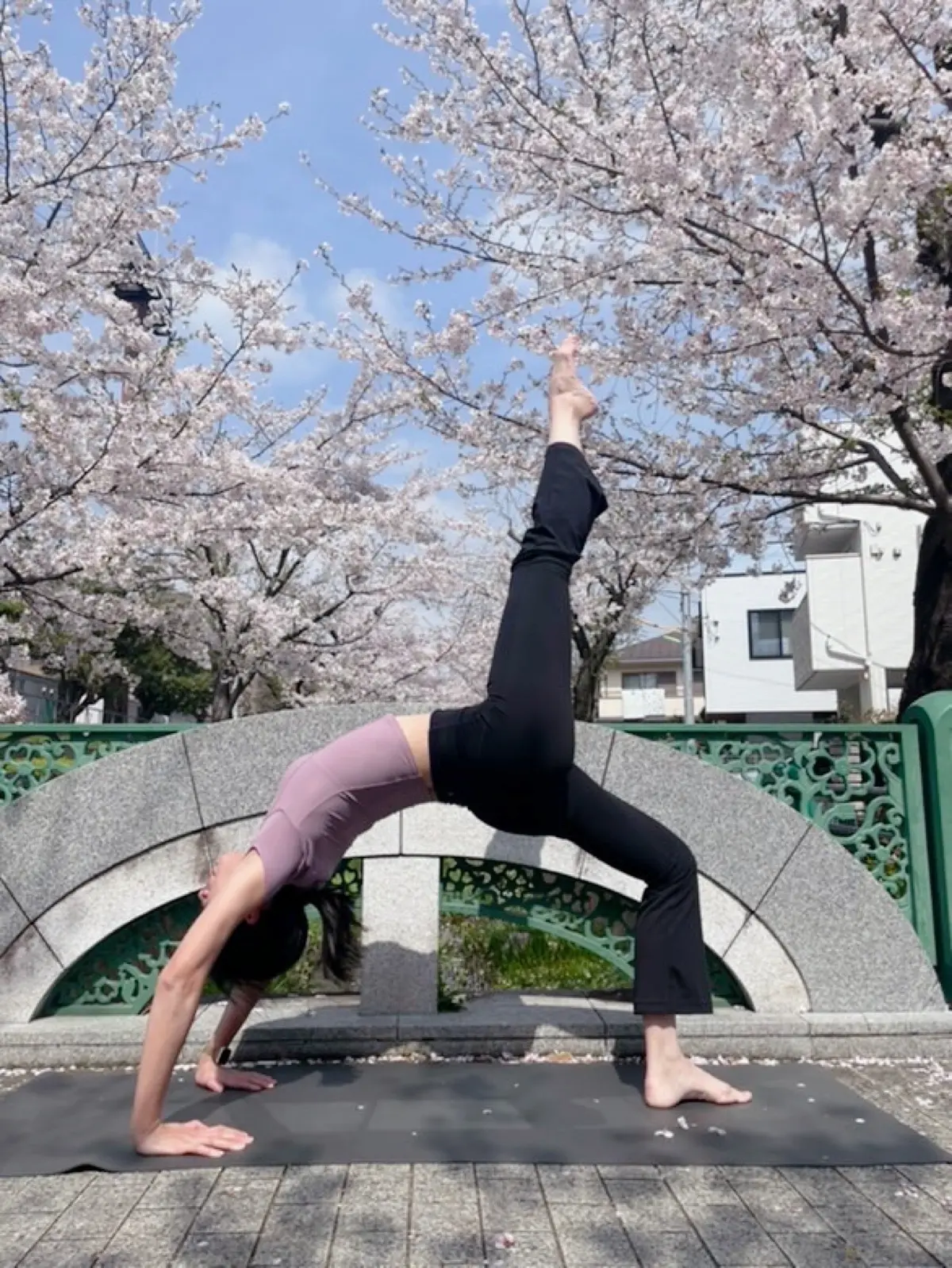 【春のおでかけ①】桜とブリッジの画像_1